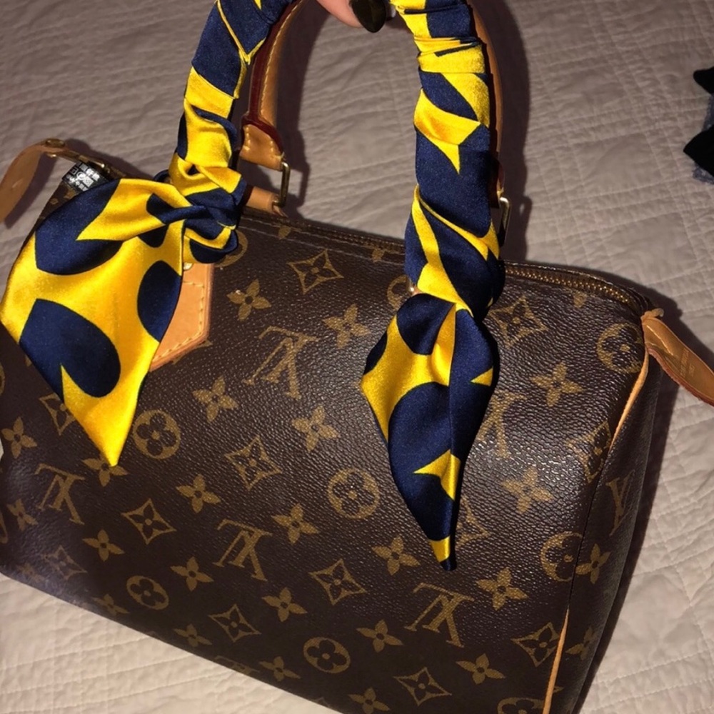 Louis vuitton speedy 25